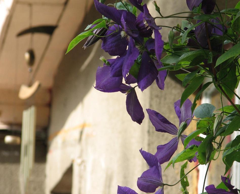 Kaevu Holiday House パルヌ エクステリア 写真